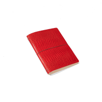 Notebook A5 - Tortuga Rouge