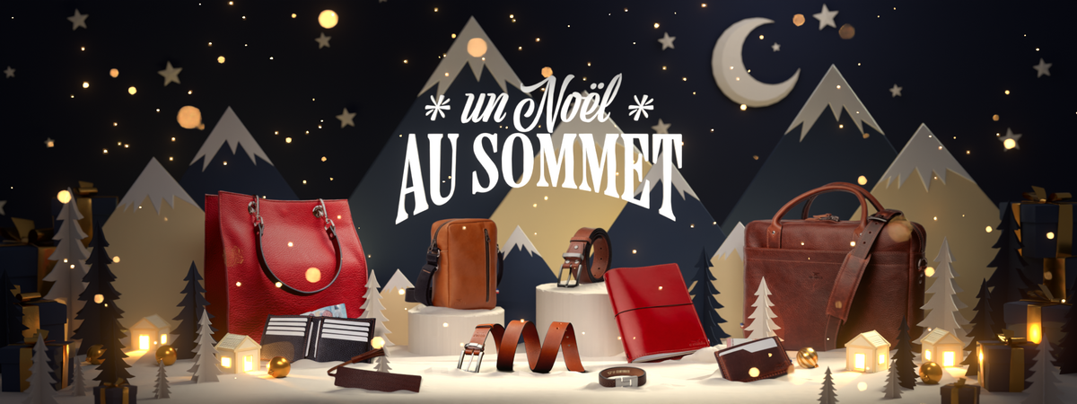 Un Noël au Sommet ! 🚠