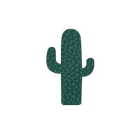 magnet-cactus-cuir-couleur.png